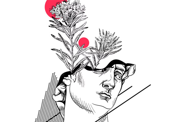 Kitap Kapağı Konsept Tasarımı ve Onay Aşaması